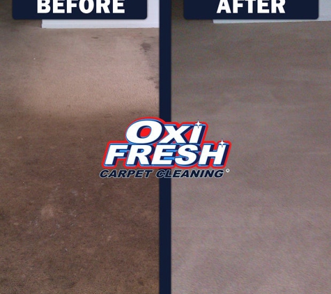 Oxi Fresh Carpet Cleaning