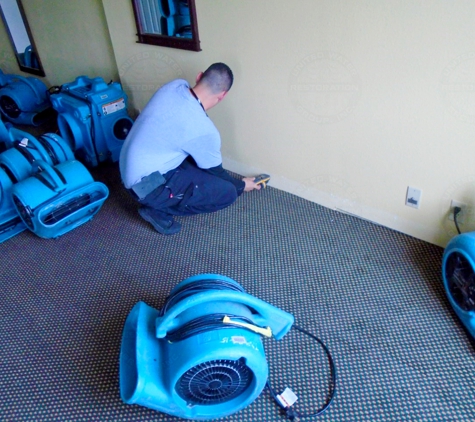 United Water Reconstruction Group Inc. of Tampa - Tampa, FL. One of our technicians measuring moisture in the wall