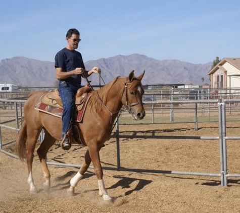 A & M Equestrian - Litchfield Park, AZ