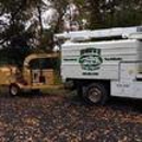 Heitz Tree & Landscaping Service LLC