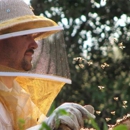 Burford & Sons Beekeeping - Bee Control & Removal Service