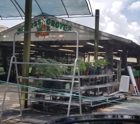 Bearss Groves - Tampa, FL