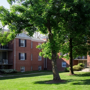 Springfield Square Apartments - Springfield, VA