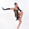 Raskin Dance Studio gallery