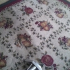 Full service carpet care