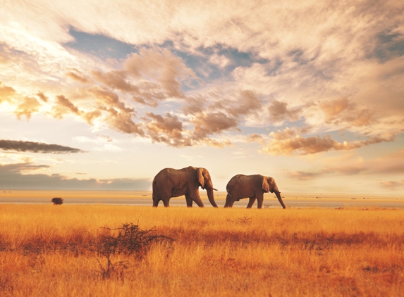 Serengeti Print Group - Darling Heights, QLD