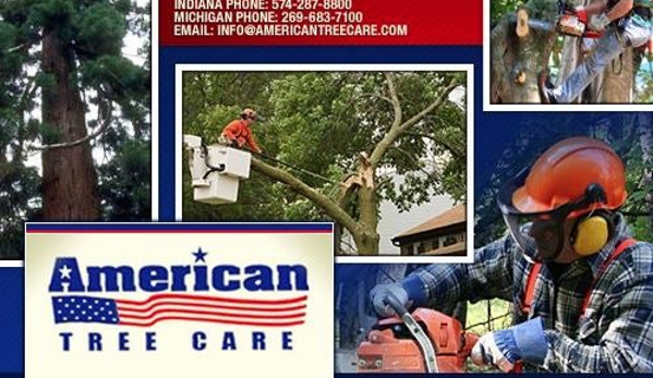 American Tree Care - Niles, MI