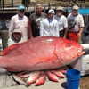 Mexico Beach Charters gallery