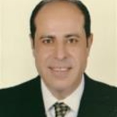 Emad A. Ishak, DPT, LLE, WWC, OMS - Physical Therapists