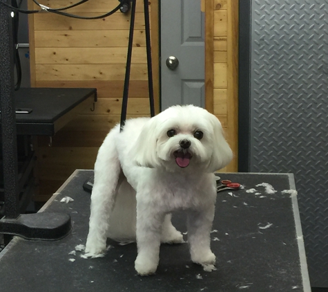 Barb's Dog Grooming - Wichita, KS