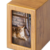 Gallery Image Number 7