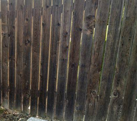 FORCE POWER WASHING - Pasco, WA. Fence Before