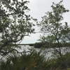 Upper Tampa Bay Park gallery