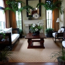 Plant Pros - Plants-Interior Design & Maintenance