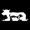 Tulare Veterinary Hospital gallery
