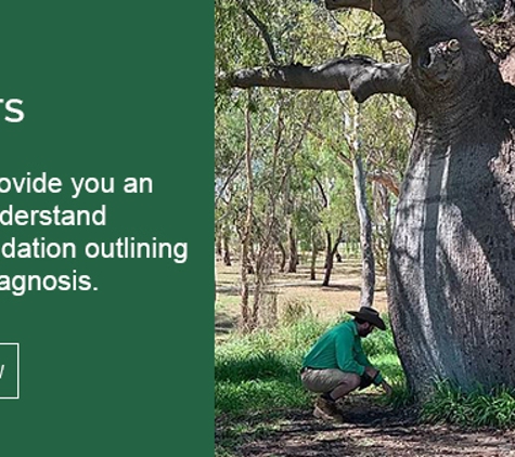 Cut Above Tree Care (Aust) Pty Ltd. Tree Reports