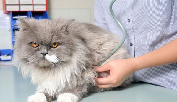 Peninsula Vet Care - Rosebud, VIC
