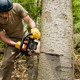 Tree Care Service Inc