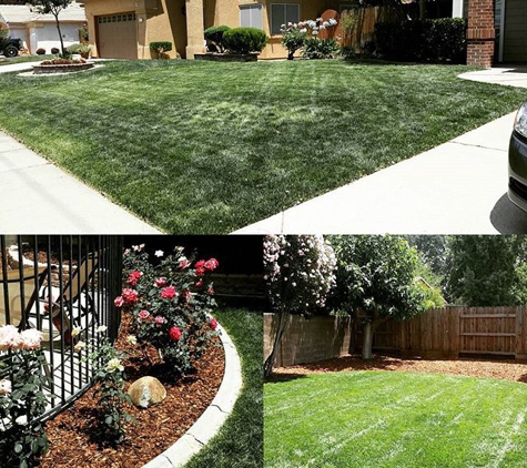 HD Lawn Care & Landscape Maintenance