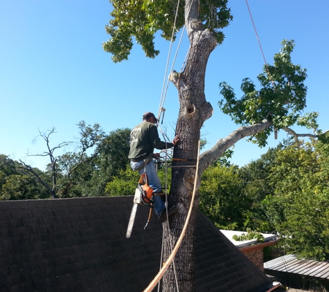 Texans Tree Service - Houston, TX