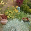 Tina Jemison Landscape Design gallery