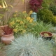 Tina Jemison Landscape Design