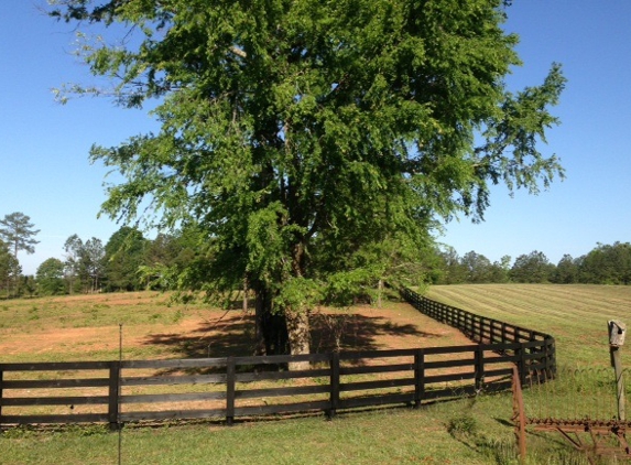 Fence Revive LLC. - Newnan, GA