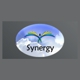 Synergy Chiropractic & Natural Health