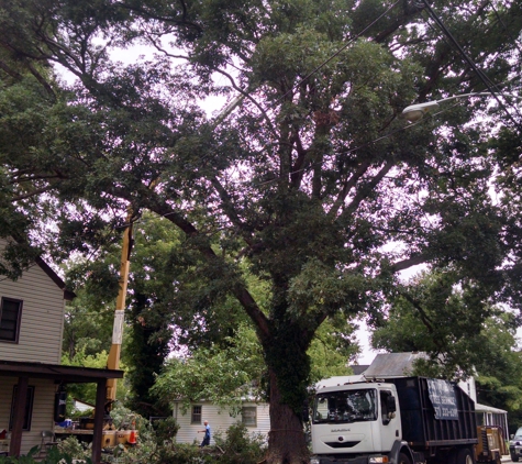 Cutting Edge Tree Service - Norfolk, VA