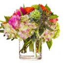 Attractive Excellent Designs - Florists