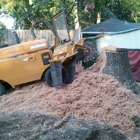 Ross Stump Grinding