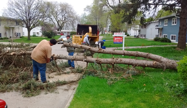 Dick's Tree Service - Cedar Rapids, IA