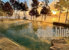 Gallery Image Number 2