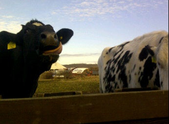 Tiffany Farms - Old Lyme, CT