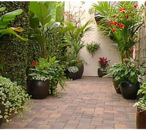 Plant Pros - San Diego, CA