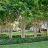simply lawns and landscapes gallery