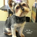 The Pooch Parlor - Pet Services