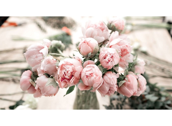South East Funeral Services - Mount Gambier, SA
