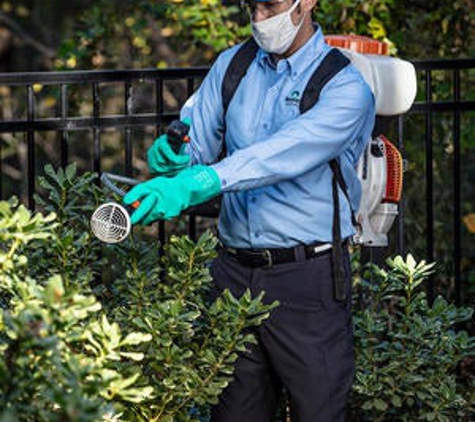 Hometeam Pest Defense - Tempe, AZ