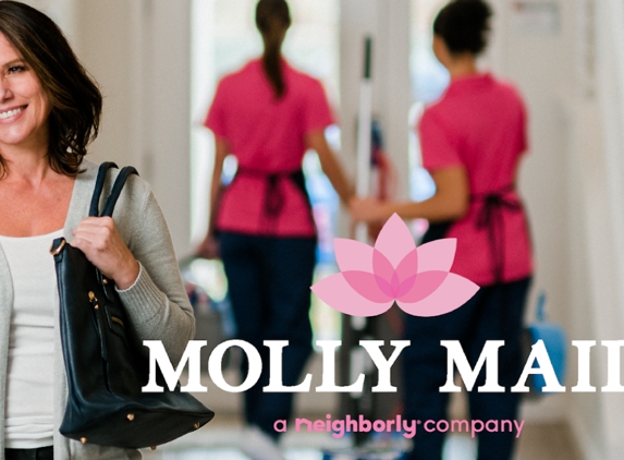 Molly Maid of Norwood Foxboro & Greater Norfolk County - Stoughton, MA