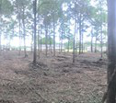 Brelands Land Clearing & Forestry Mulching - Shreveport, LA