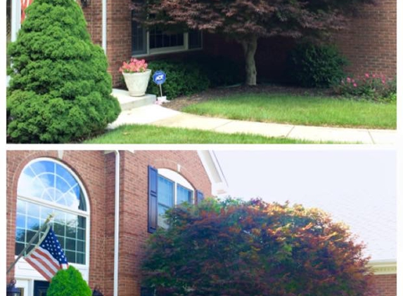 Tree Top Tree Trimming - Batavia, OH