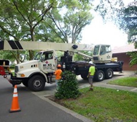 Kevin's Tree Service - Oviedo, FL