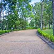 Gallery Image Number 1