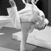 Judo Inc gallery