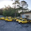 Busy Bee Termite & Pest Control Inc - Termite Control