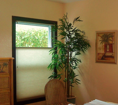 Discount Custom Blind and Repair Company - Clearwater, FL. CELLULAR SHADES