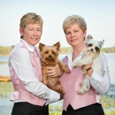 Hearing Solutions Inc - Hearing Aids & Assistive Devices