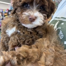 Pet Supplies Plus - Pet Stores
