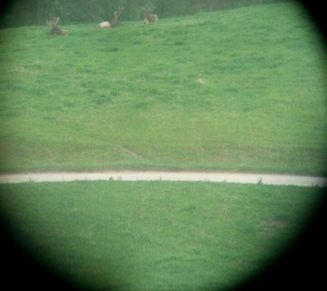 Wildlife Safari Park - Ashland, NE